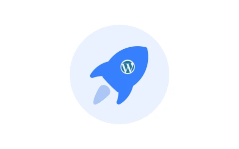 【WordPress优化插件】WPOPT v2.4.5